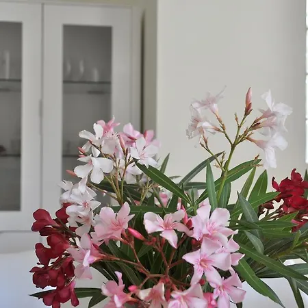 Ferienhaus Chalet Las Rosas Dénia
